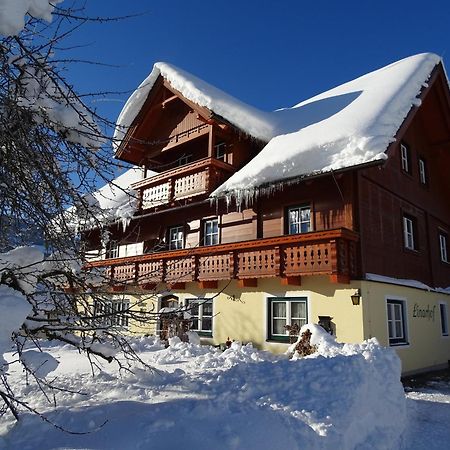 Linarhof Apartment Urlaub Am Bio Bauernhof Haus im Ennstal Buitenkant foto