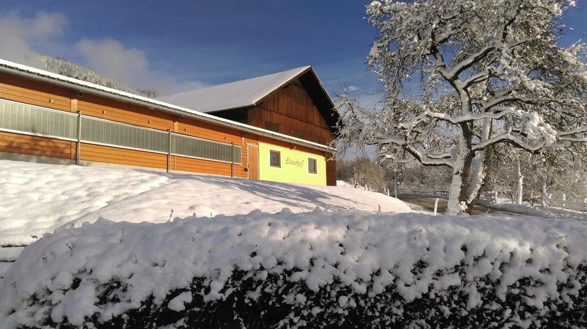 Linarhof Apartment Urlaub Am Bio Bauernhof Haus im Ennstal Buitenkant foto