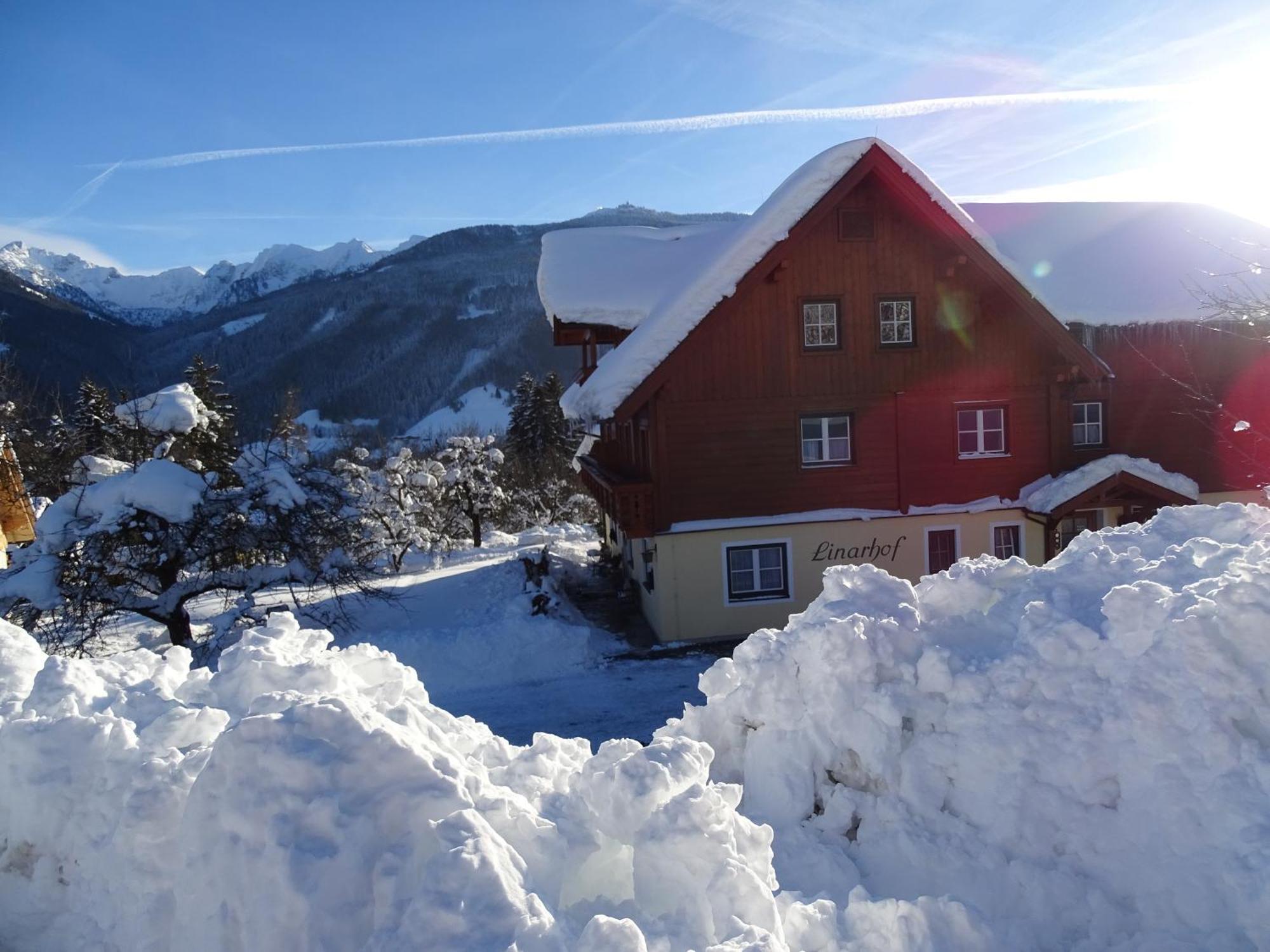 Linarhof Apartment Urlaub Am Bio Bauernhof Haus im Ennstal Buitenkant foto