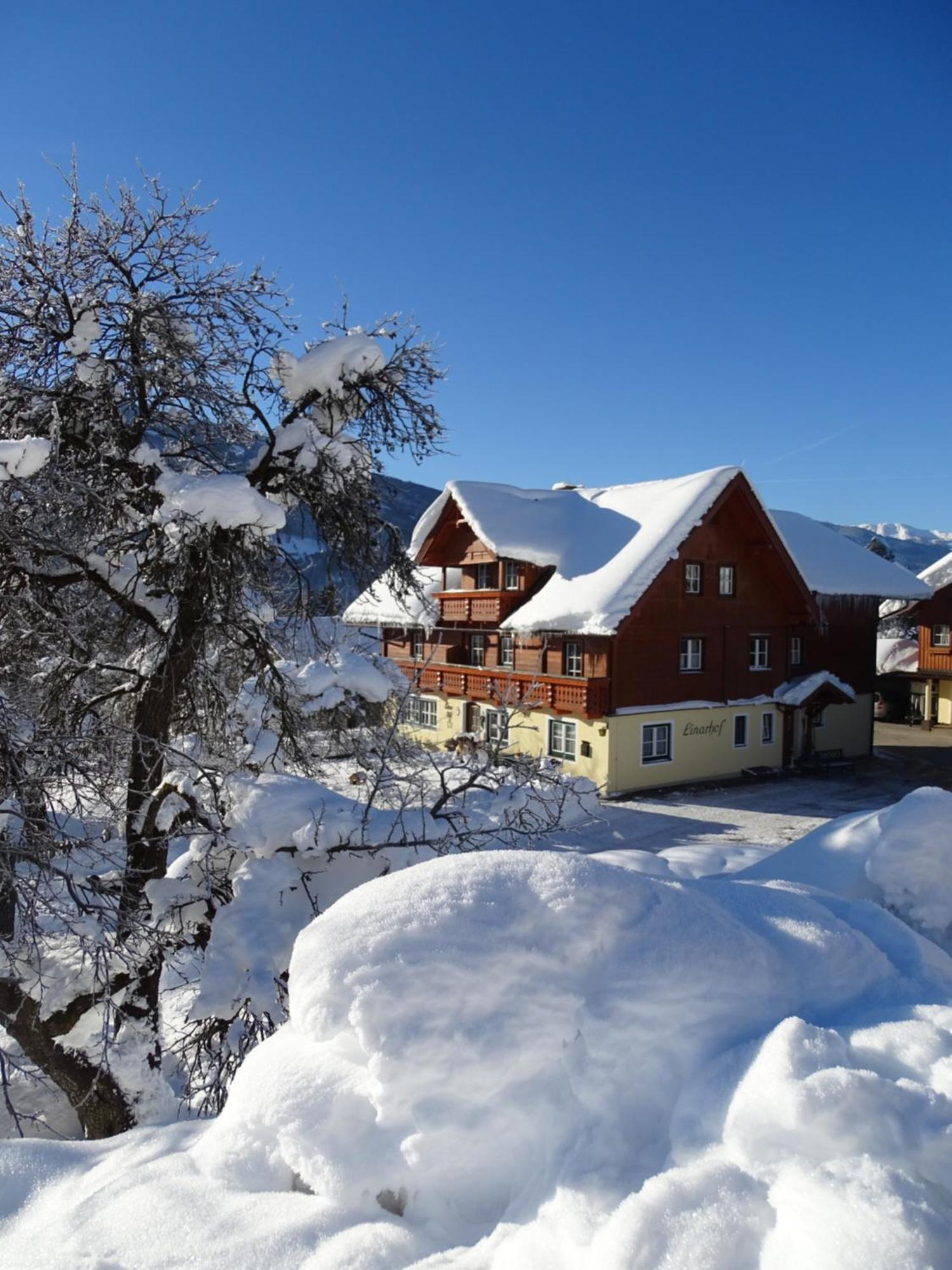 Linarhof Apartment Urlaub Am Bio Bauernhof Haus im Ennstal Buitenkant foto