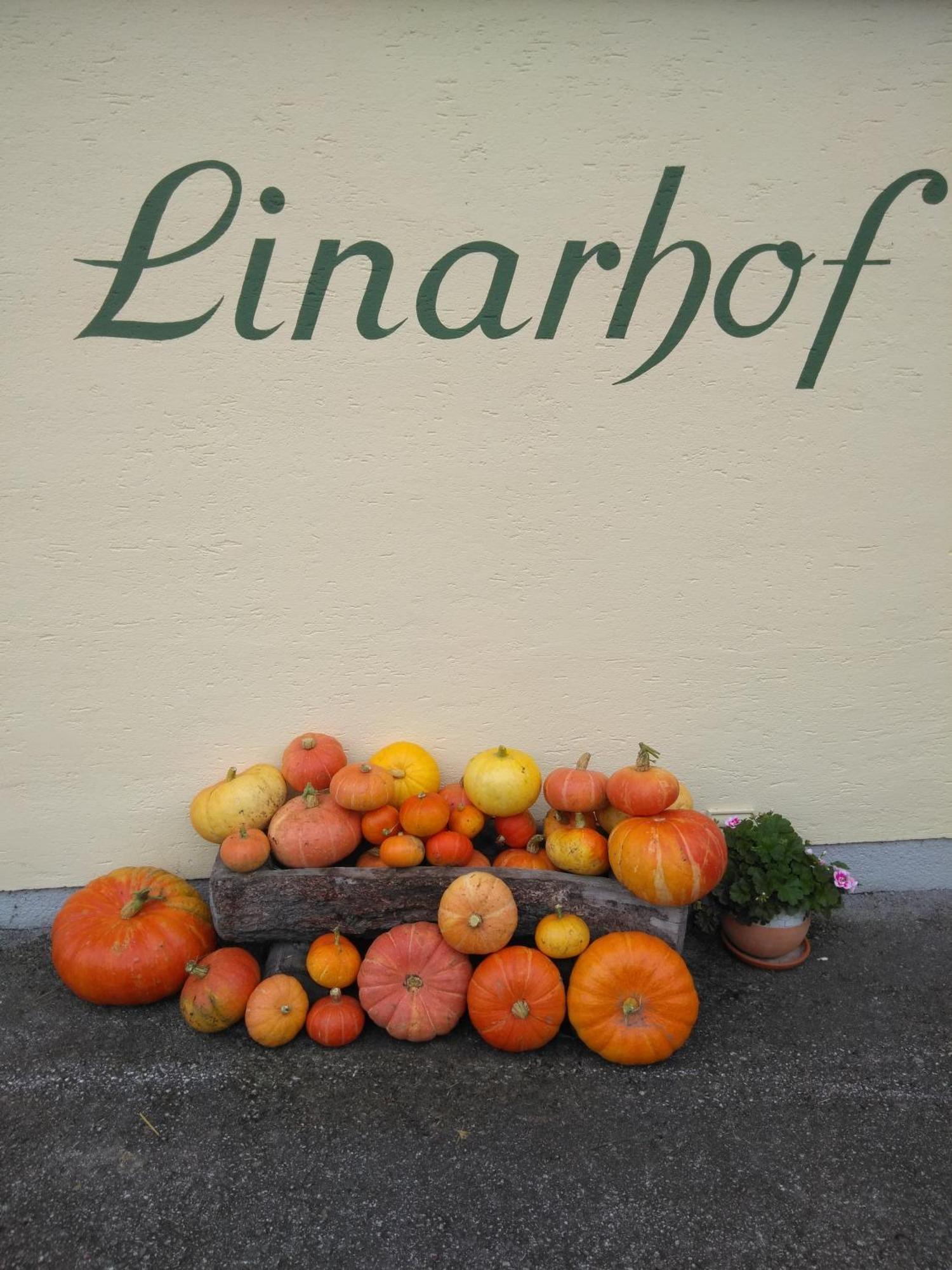 Linarhof Apartment Urlaub Am Bio Bauernhof Haus im Ennstal Buitenkant foto